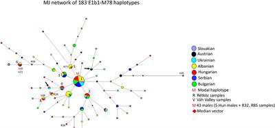 The paternal genetic legacy of Hungarian-speaking Rétköz (Hungary) and Váh valley (Slovakia) populations